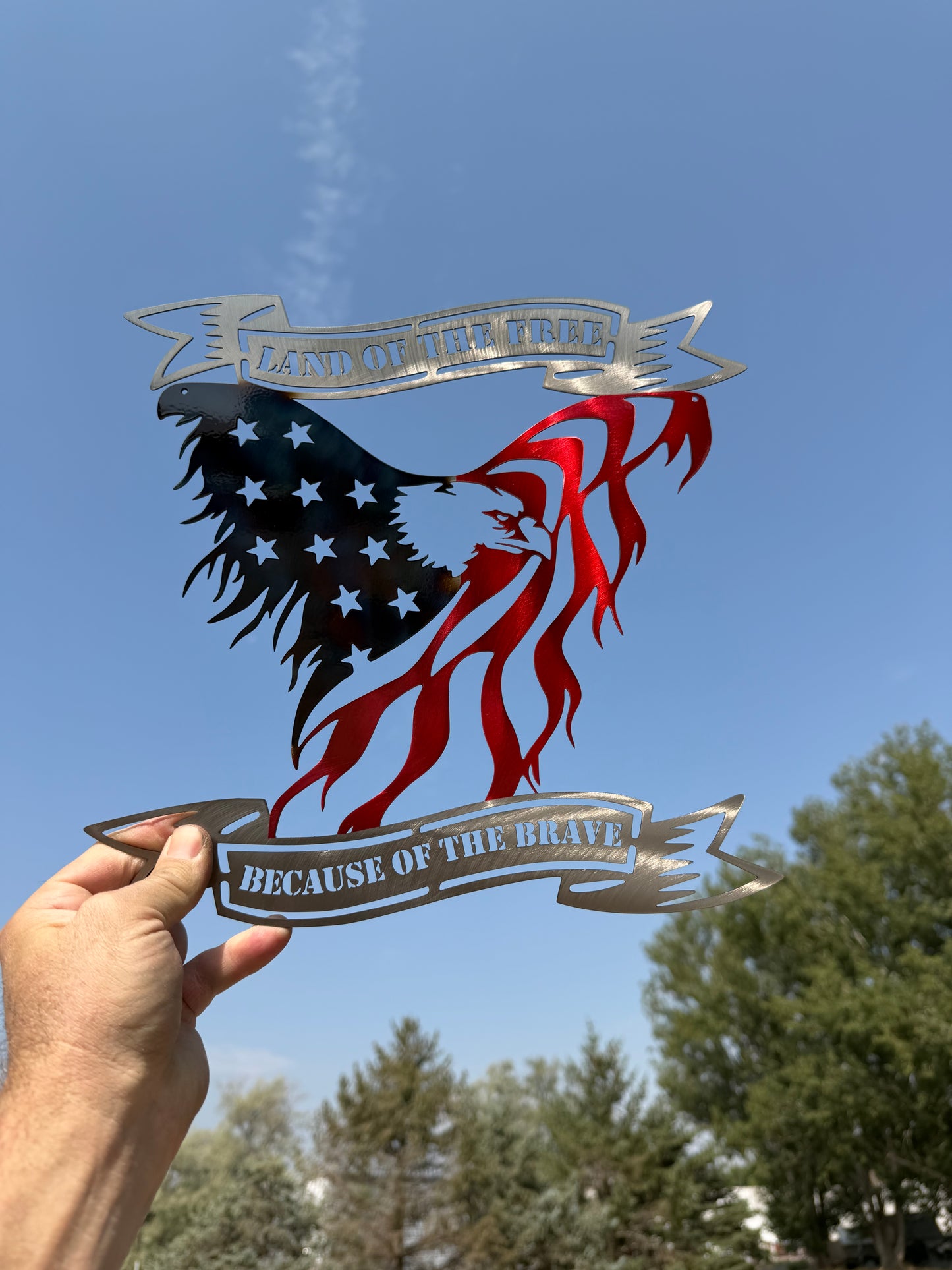 Land of The free Eagles