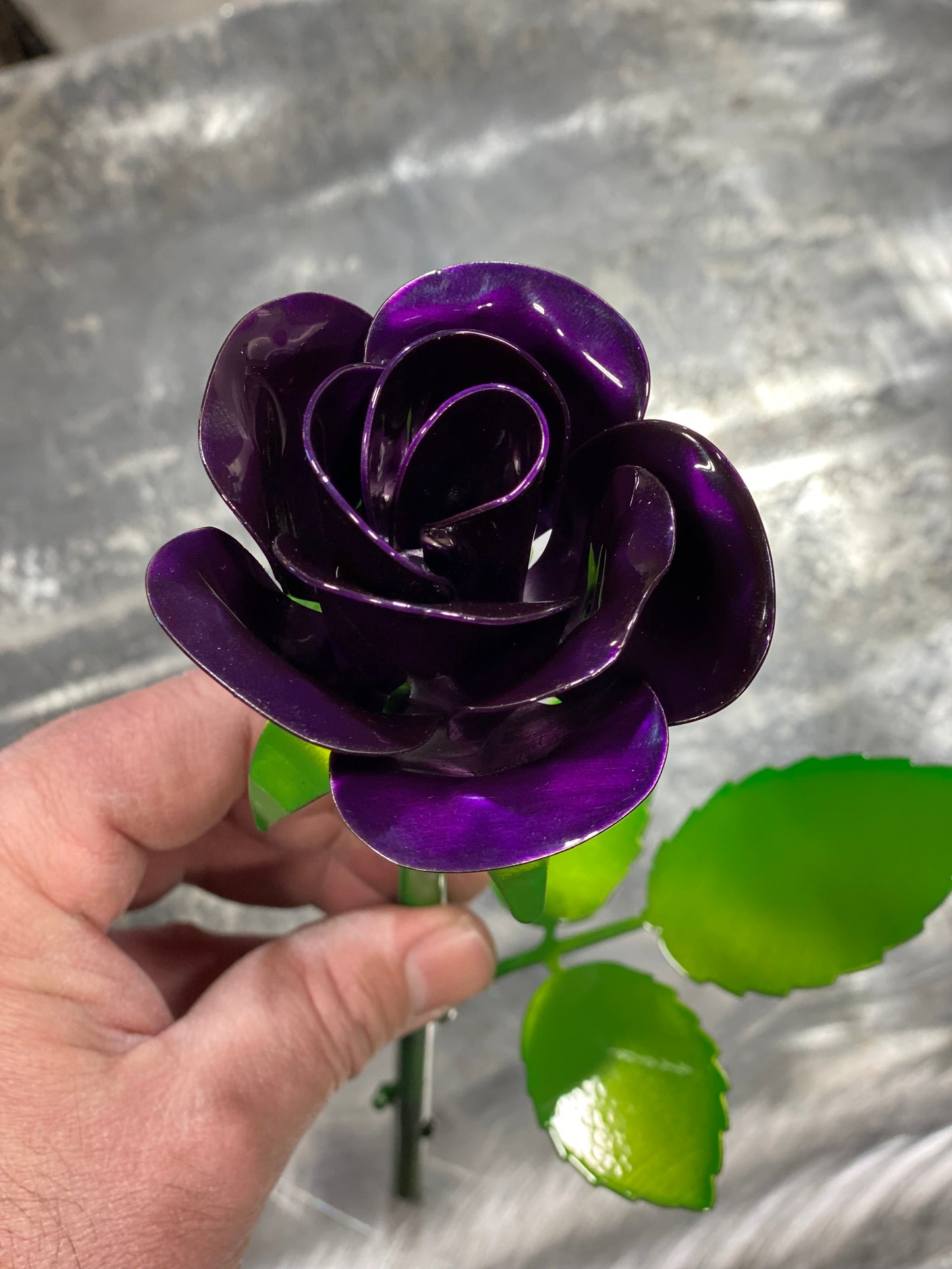 Purple long stem rose