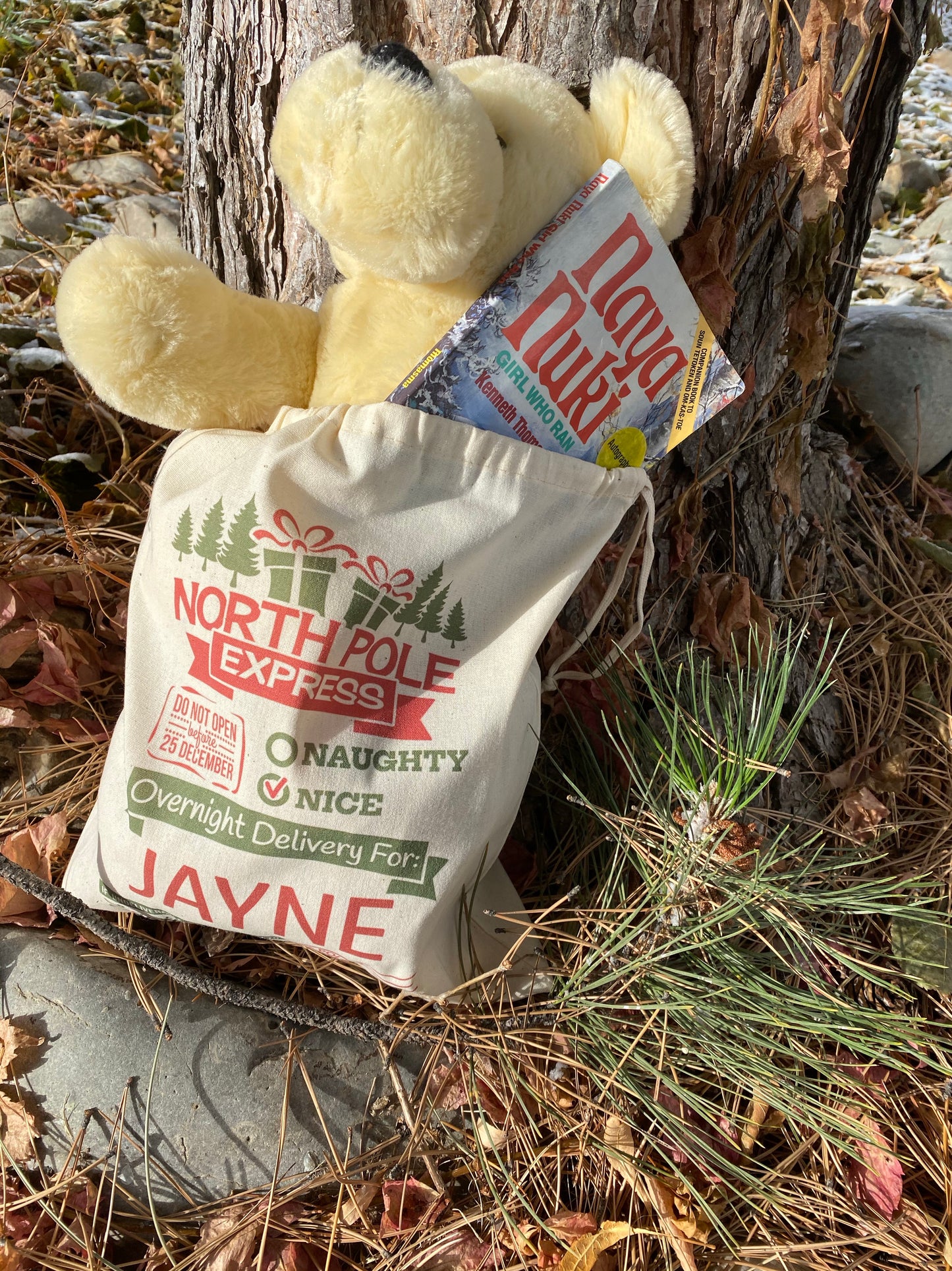 Personalized Santa sack with recipient’s name, DTG printed holiday gift bag measuring 14 by 12 inches