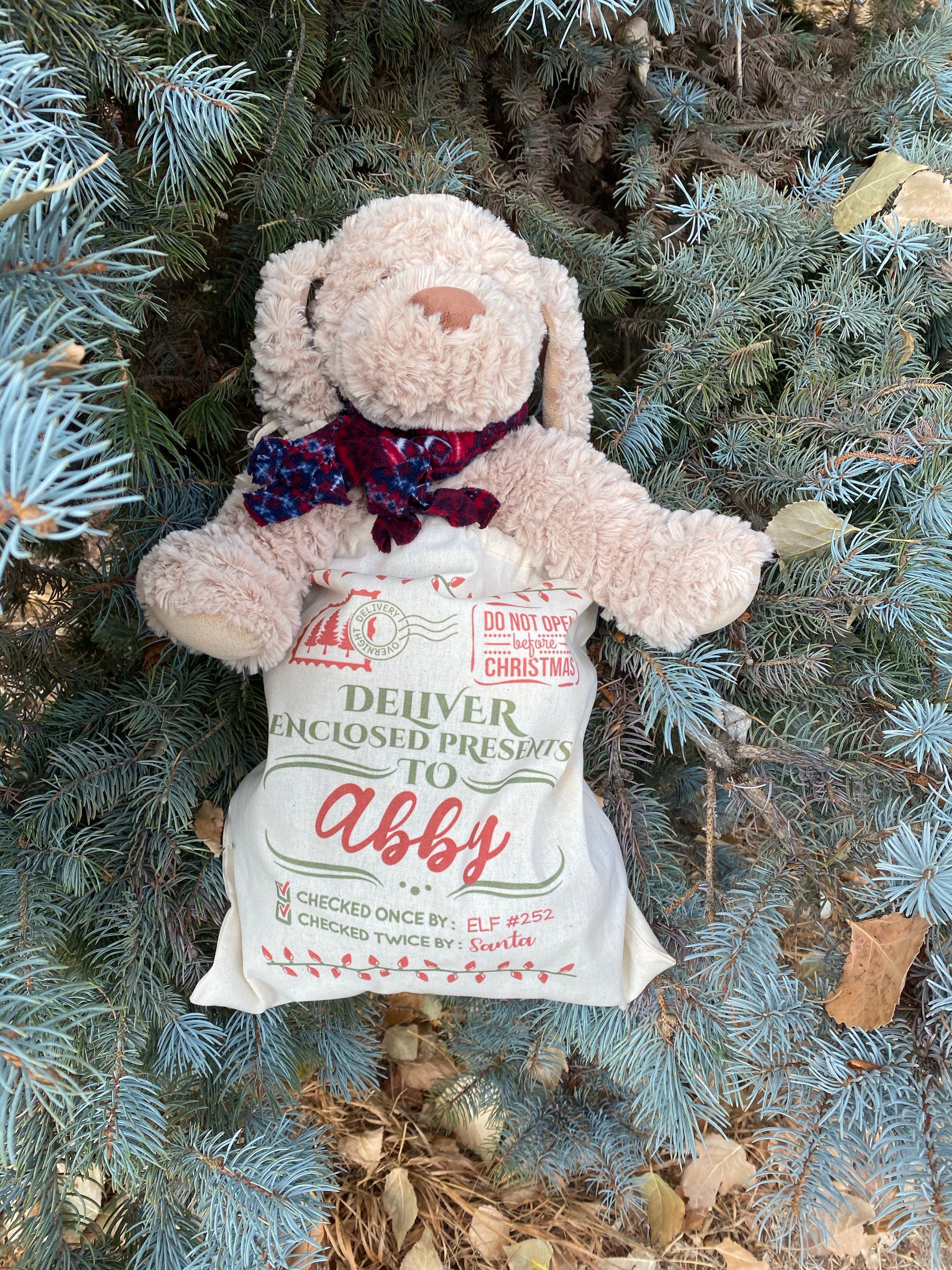 Personalized Santa sack with recipient’s name, DTG printed holiday gift bag measuring 14 by 12 inches