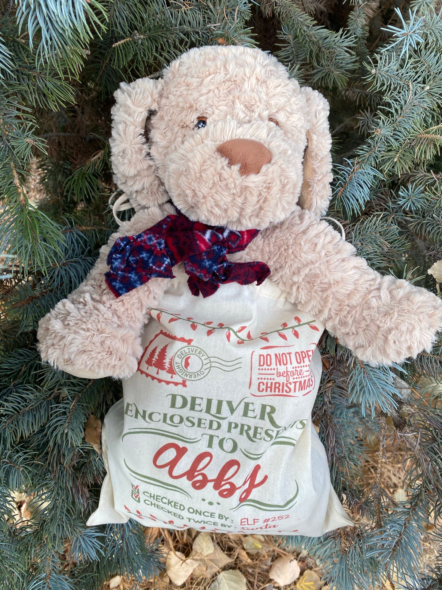 Personalized Santa sack with recipient’s name, DTG printed holiday gift bag measuring 14 by 12 inches