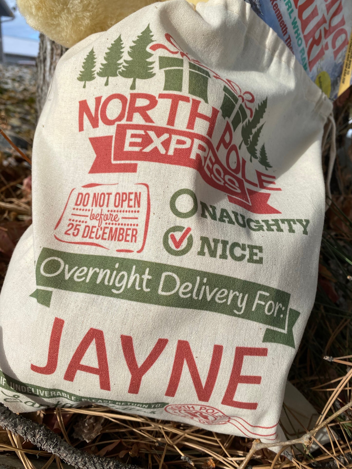 Personalized Santa sack with recipient’s name, DTG printed holiday gift bag measuring 14 by 12 inches