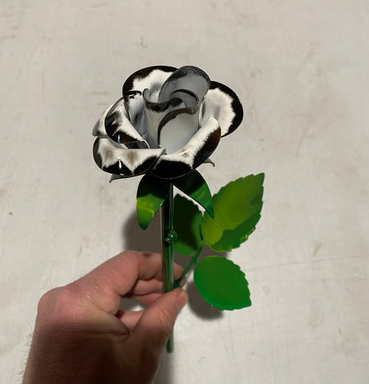 Black and white rose