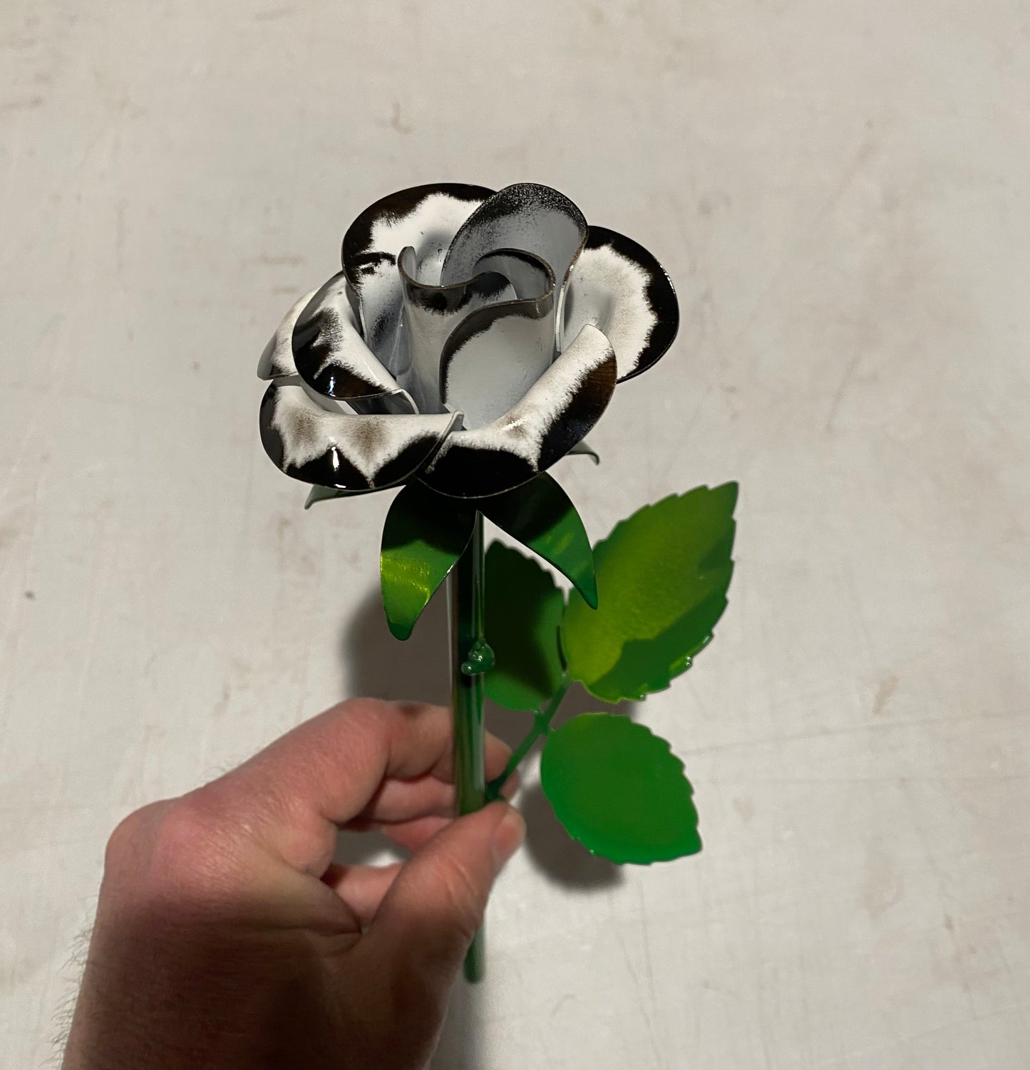 Black and white rose